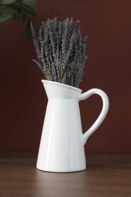 Lavandula Ring 地拉那 外观 照片